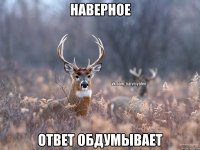 Наверное Ответ обдумывает