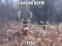 Сильно Верю Тебе