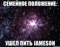 Семейное Положение: Ушел Пить JAMESON