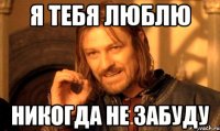 Я тебя люблю Никогда не забуду
