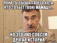 Пока ты ебешь своего кота, кто-то ебет твою мамашу... Но это уже совсем другая история