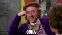  Сука