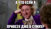 а что если я привезу Джо в сумку?