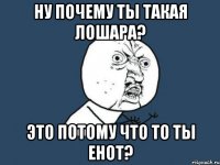 Ну почему ты такая лошара? Это потому что то ты енот?