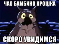 Чао бамбино крошка Скоро увидимсЯ