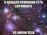 в каждой компании есть скромняга по имени леха