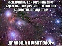 Фея, пчёлка, единорожка, енот, Адам-Настя и другие совершенно адекватные существа! Дракоша любит вас!♥