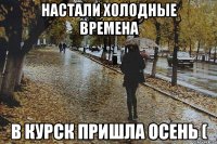 Настали холодные времена В Курск пришла осень (