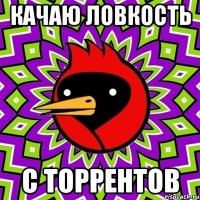 качаю ловкость с торрентов