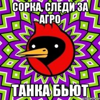 Сорка, следи за агро Танка бьют