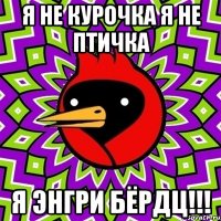 я не курочка я не птичка я энгри бёрдц!!!