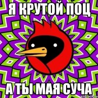 Я крутой поц А ТЫ МАЯ СУЧА