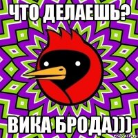 Что делаешь? Вика Брода)))