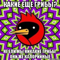 какие еще грибы? не ели мы никакие грибы. Они же калорийные