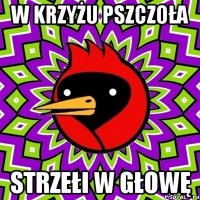 w krzyżu pszczoła strzełi w głowę