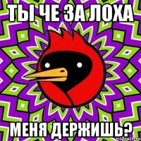 ТЫ ЧЕ ЗА ЛОХА МЕНЯ ДЕРЖИШЬ?