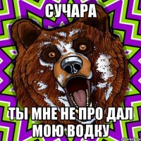 СУЧАРА ТЫ МНЕ НЕ ПРО ДАЛ МОЮ ВОДКУ