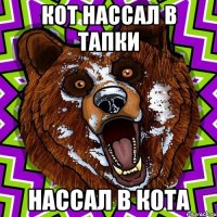 КОТ НАССАЛ В ТАПКИ НАССАЛ В КОТА