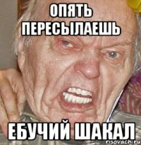 опять пересылаешь ебучий шакал