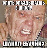 ОПЯТЬ ОПАЗДЫВАЕШЬ В ШКОЛУ ШАКАЛ ЕБУЧИЙ?