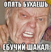 опять бухаешь ебучий шакал