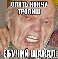 Опять кончу тролиш ебучий шакал