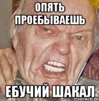 опять проебываешь ебучий шакал