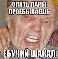 опять пары проебываешь ебучий шакал