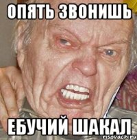 ОПЯТЬ ЗВОНИШЬ ЕБУЧИЙ ШАКАЛ
