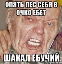 Опять пес себя в очко ебет шакал ебучий