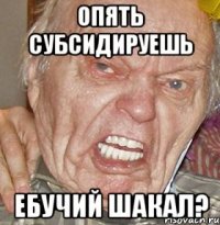 ОПЯТЬ СУБСИДИРУЕШЬ ЕБУЧИЙ ШАКАЛ?
