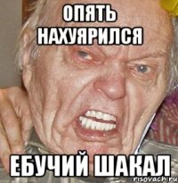Опять нахуярился ебучий шакал