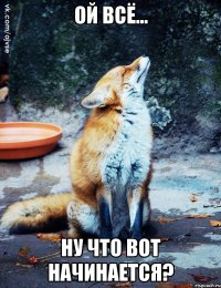 ой всё... ну что вот начинается?