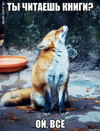 ты читаешь книги? ой, всё