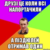 Друзі це коли всі напортачили а піздюлей отримав один