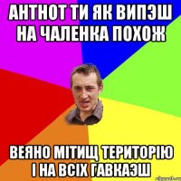 Антнот ти як випэш на чаленка похож веяно мiтищ територiю i на всiх гавкаэш