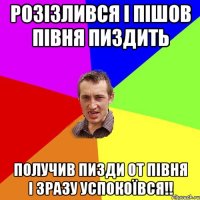 Розізлився і пішов півня пиздить Получив пизди от півня і зразу успокоївся!!