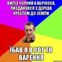 виліз чорний а абрікоса, пизданувся з дерева хребтом до земли їбав я в рот то варення