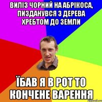 виліз Чорний на абрікоса, пизданувся з дерева хребтом до земли їбав я в рот то кончене варення