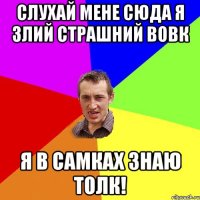 слухай мене сюда я злий страшний вовк я в самках знаю толк!