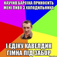 научив барсіка приносить мені пиво з холодильника і едіку кавелдик гімна під забор