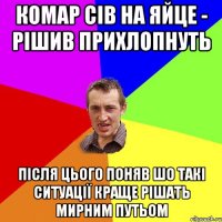 Комар сів на яйце - рішив прихлопнуть після цього поняв шо такі ситуації краще рішать мирним путьом