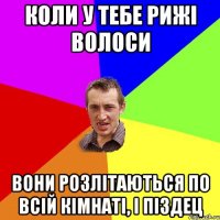 Коли у тебе рижі волоси Вони розлітаються по всій кімнаті, і піздец