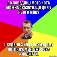 По поведінці мого кота можна сказати, що це я у нього живу і, судячи з його похмурому погляду, мені вже пора з'їжджати.