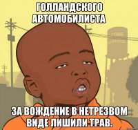 Голландского автомобилиста за вождение в нетрезвом виде лишили ТРАВ.