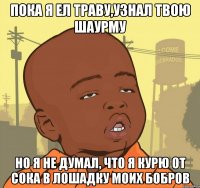 Пока я ел траву,узнал твою шаурму Но я не думал, что я курю от сока в лошадку моих бобров