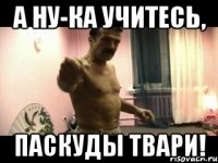 а ну-ка учитесь, паскуды твари!