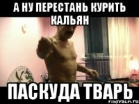 а ну перестань курить кальян паскуда тварь