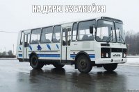 на дарю узбакойся 