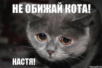 Настя! Не обижай кота!